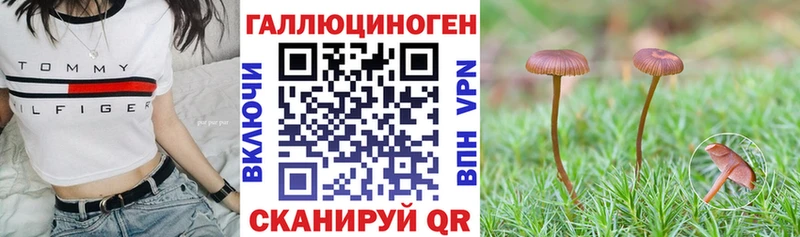 маркетплейс клад  Энем  Псилоцибиновые грибы Psilocybe  наркошоп 